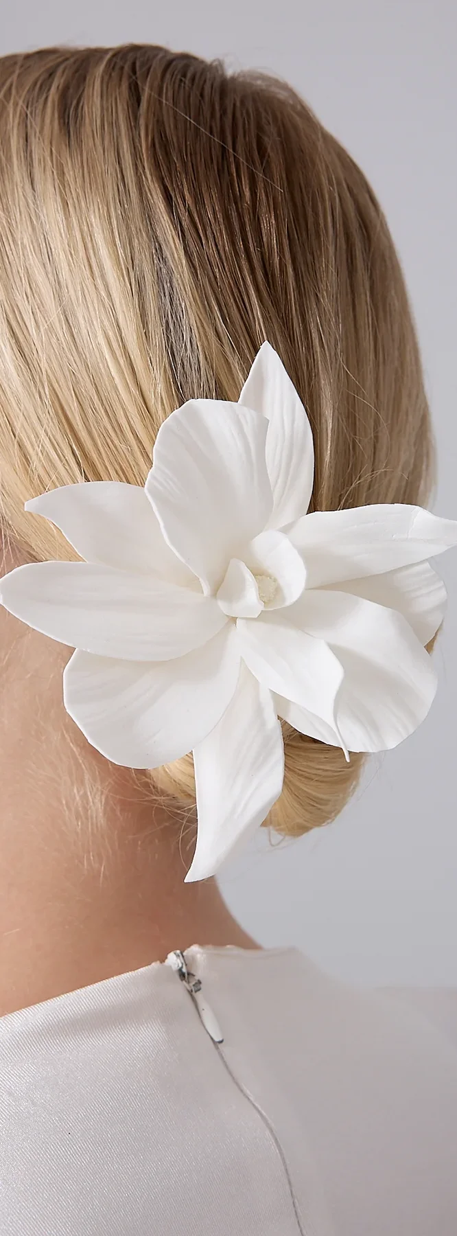 Anasayfa tarak toka orchid tarak toka